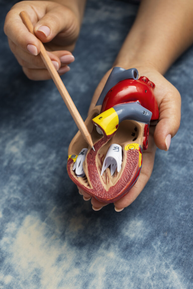 Formation Insuffisance rénale et dialyse péritonéale